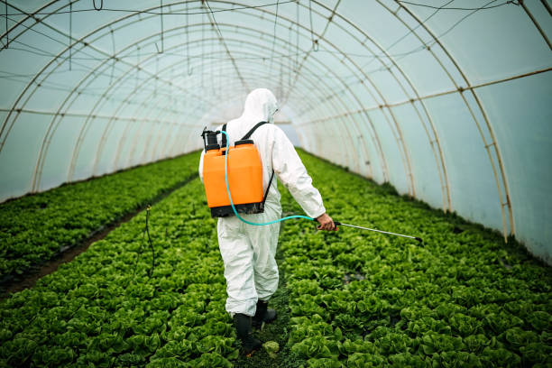 Best Pest Removal Services  in Cleveland, AL