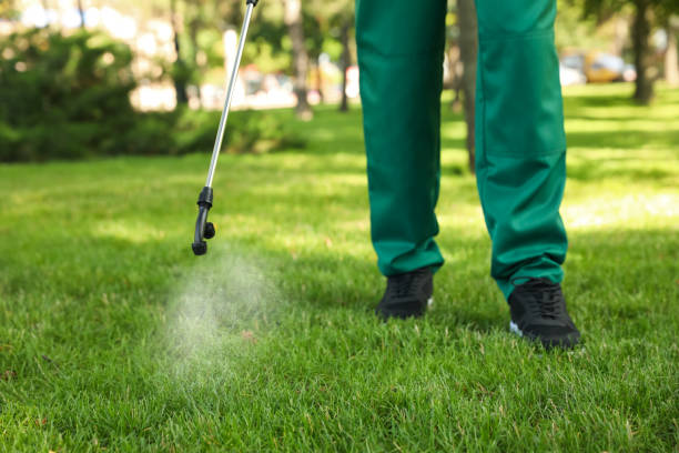Best Termite Control Services  in Cleveland, AL