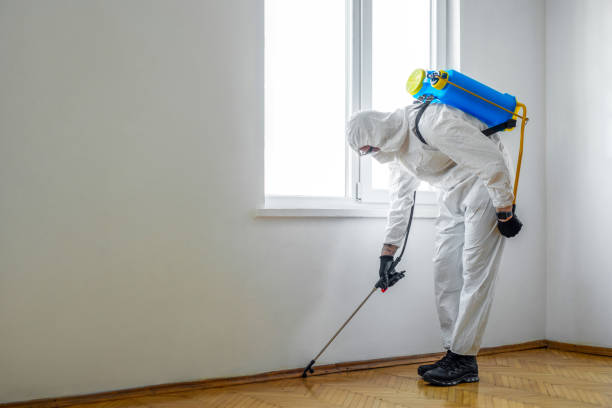 Best Affordable Pest Control Services  in Cleveland, AL