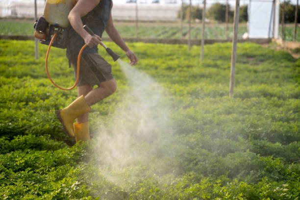 Best Local Pest Control Services  in Cleveland, AL