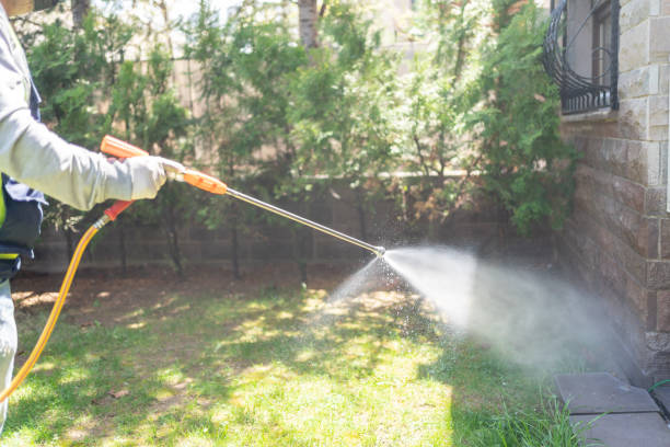 Best Wasp Removal Services  in Cleveland, AL