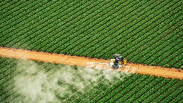 Best Affordable Exterminators  in Cleveland, AL