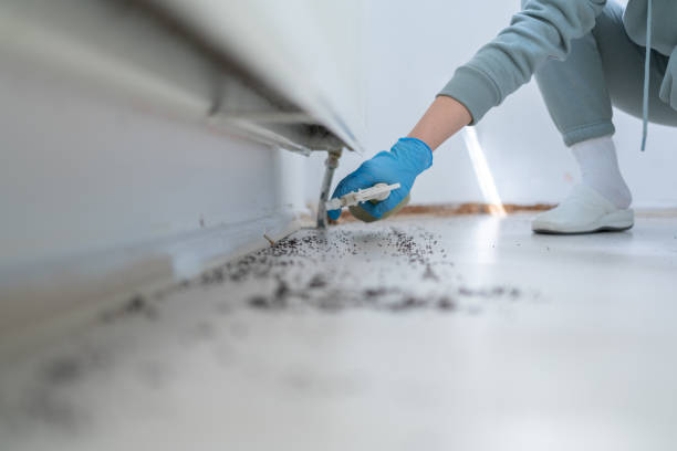 Best Emergency Pest Control  in Cleveland, AL