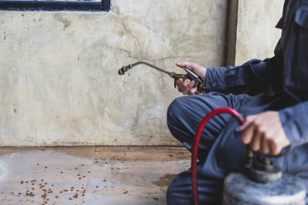 Best Best Pest Control Companies  in Cleveland, AL